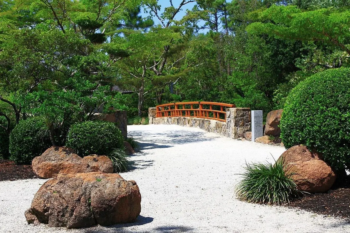 Gravel vs Bark Mulch: Which Is Best for Garden Paths and Borders?