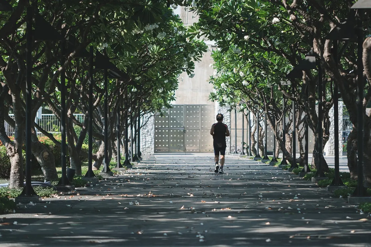 Why Urban Groves Matter: The Benefits of Small Tree Groups in Cities